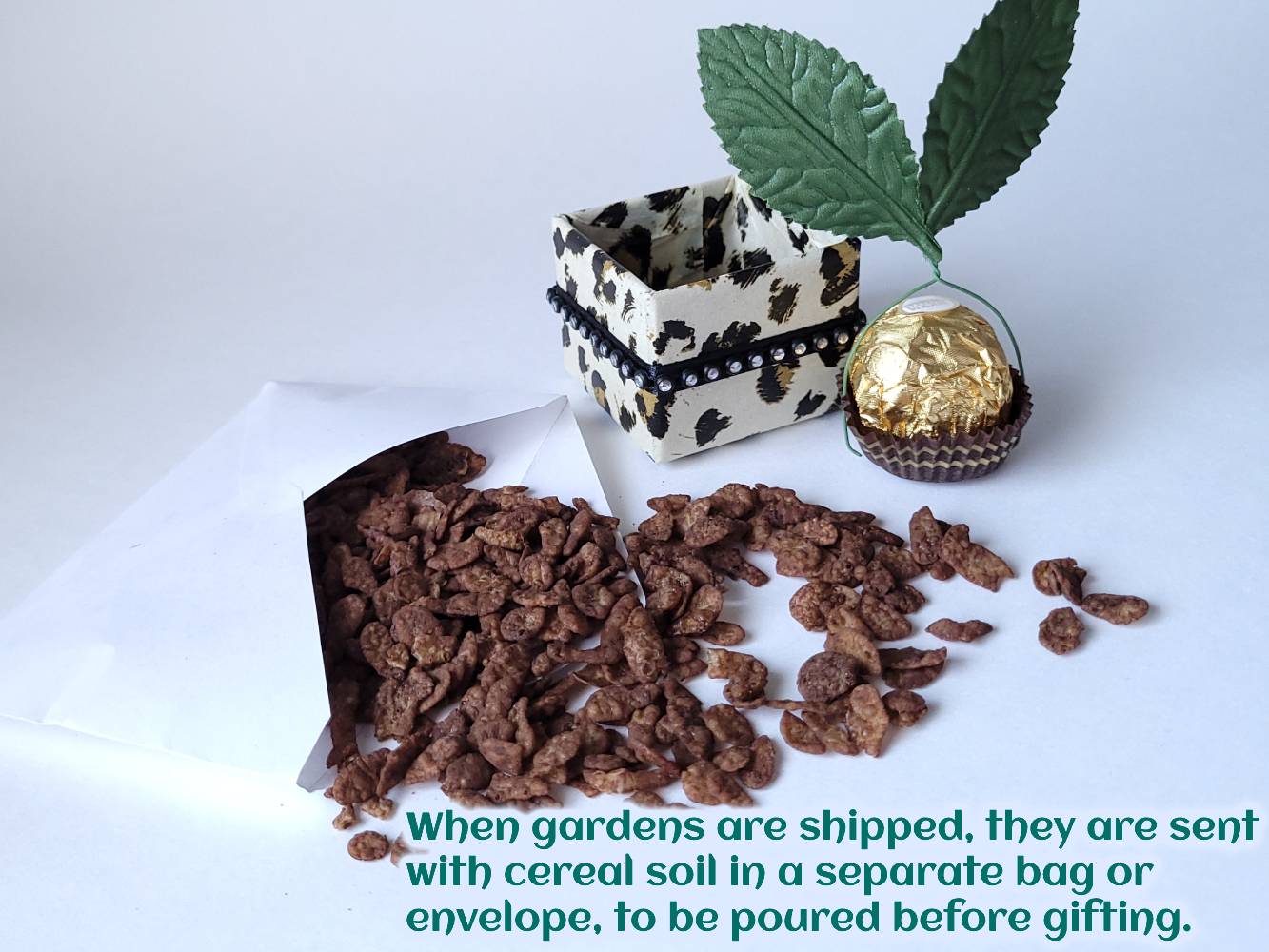 product photo